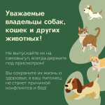ОПАСНОСТИ САМОВЫГУЛА ДОМАШНИХ ЖИВОТНЫХ !!!